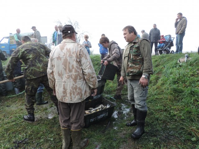 Výlov Dlouhé 2014
